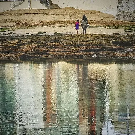 Bareda * Λας Πάλμας ντε Γκραν Κανάρια